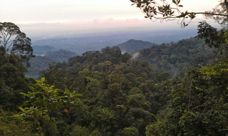 Gunung Pulai